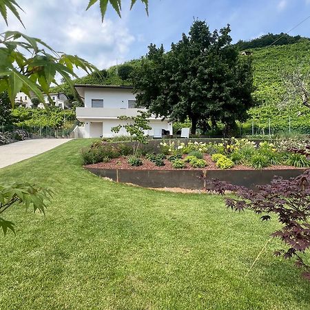 El Zhigol B&B Farra di Soligo Esterno foto